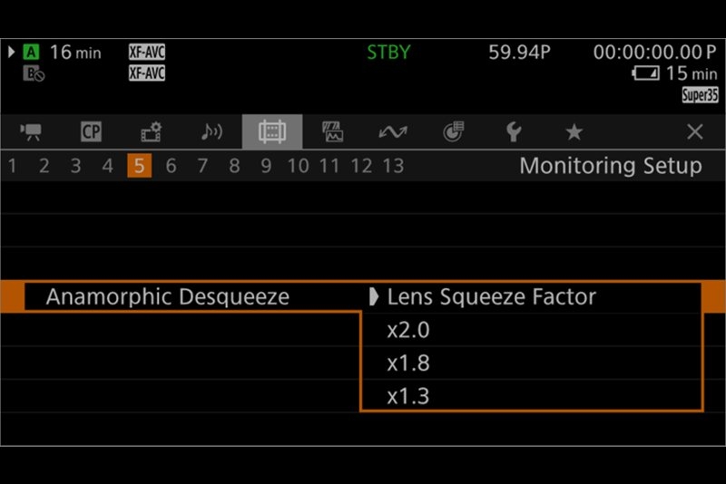 Anamorphic lens support